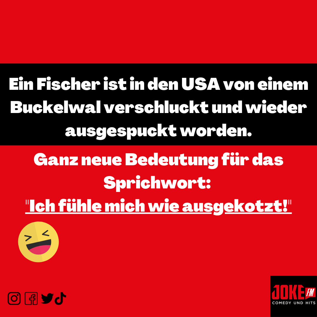 Alma Deluxe Verdammt Die Maler, Wenn Ihr Mann Nicht Zu Hause Ist Alma Deluxe Verdammt Die Maler, Wenn Ihr Mann Nicht Zu Hause Ist